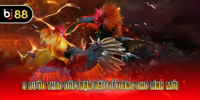 3 bước theo dõi trận đấu dễ dàng cho lính mới