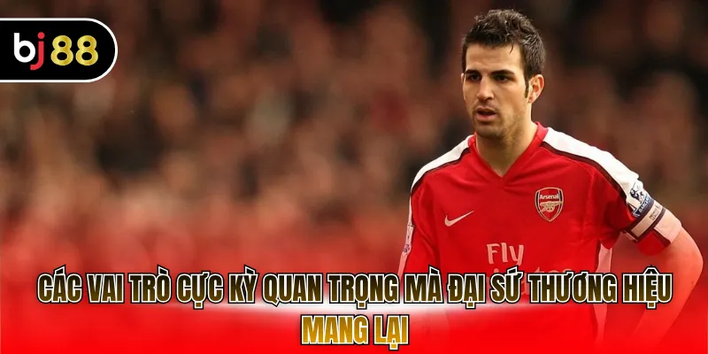 Các vai trò cực kỳ quan trọng mà đại sứ thương hiệu mang lại
