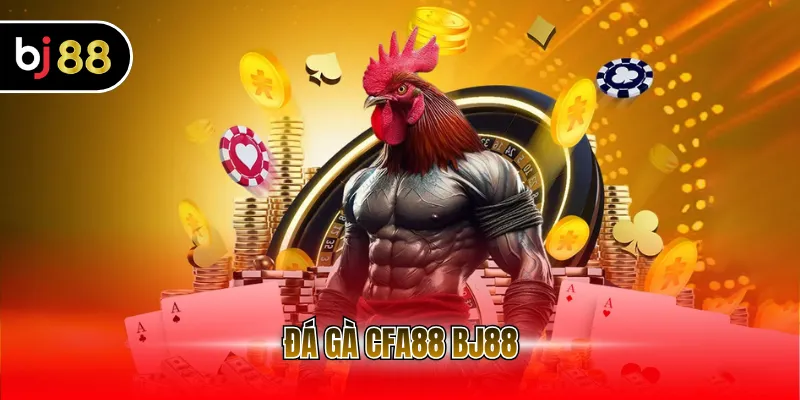 Đá gà CFA BJ88