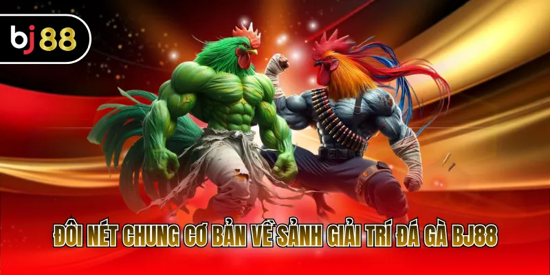 Đôi nét chung cơ bản về sảnh giải trí đá gà BJ88