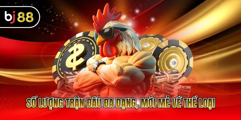 Số lượng trận đấu đa dạng, mới mẻ về thể loại