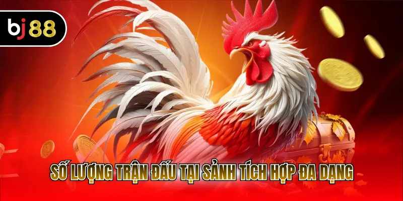 Số lượng trận đấu tại sảnh tích hợp đa dạng
