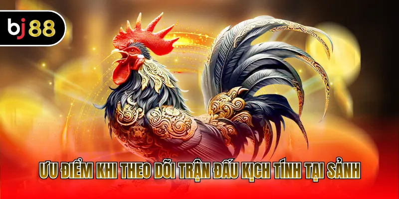 Ưu điểm khi theo dõi trận đấu kịch tính tại sảnh
